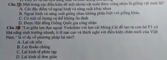 D. Duy th va cal tích hàng suất và Chất lượng của blong
Câu 28: Một trong các điều kiện để một nhóm vật nuôi được công nhận là giống vật nuôi là?
A. Các đặc điểm về ngoại hình và nǎng suất khác nhau
B. Ngoại hình và nǎng suất giống nhau không phân biệt với giống kháC.
C. Có một số lượng cá thể không ổn định
D. Được Hội đồng Giống Quốc gia công nhận
Câu 28: "Lai giữa lợn đực ngoại Yorkshire với lợn cái Móng Cái để tao ra con lai F1 có
khả nǎng sinh trưởng nhanh, tỉ lệ nạc cao và thích nghi với điều kiện chǎn nuôi của Việt
Nam." là ví dụ về phương pháp lai nào?
A. Lai cải tiến
B. Lai thuần chủng
C. Lai kinh tế phức tạp
D. Lai kinh tế đơn giản