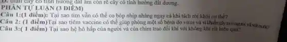 D. Thân cây có tính hưởng đất âm còn rê cây có tín]h hướng (tất dương.
PHẦN TƯ LUÂN (3 ĐIỂM)
Câu 1:(1 điểm ): Tại sao tim vẫn có thể co bóp nhị p nhàng nga y cả khi tách rời khỏi cơ thể?
Câu 2: (1 điểm) Tai sao tiêm accine có thể giúp
Câu 3:(1 điểm) Tại sao hệ hô hấp của ng rời và của chim trac đổi khí với không khí rất hiệu quất