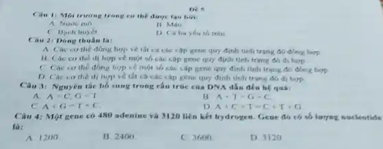 Des
Câu 1: Moi trurong trong cơ thể được tao boi:
A. Nước mô
13. Mau
C. Bach
D. Caba yếu to tren
Câu 2: Dong thuân
A. Các cothe đồng hợp vé th cá các cap gene quy định tính trạng do ding hop.
B. Các cothe dị hợp về một số các cặp gene quy định tính trạng đó di hop
C. Các cothe đồng hợp về một số các cặp gene quy định tinh trạng đó đồng hợp
D. Các cothe dị hợp về tất cá các cap gene quy định tính trạng do di hop.
Câu 3: Nguyên tác bổ sung trong cấu trúc cúa DNA dần đến hệ quả:
A=C,G=T
B A+T=G+C
A+G=T+C
D A+C+T=C+T+G
Câu 4: Một gene có 480 adenine và 3120 liên kết hydrogen. Gene đó có số lượng nucleotide
là:
A. 1200
B. 2400
C. 3600
D. 3120