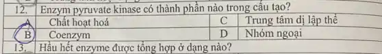 Enzym pyruvate kinase có thành phần nào trong cấu tạo?
12.
Chất hoạt hoá
Trung tâm dị lập thể
B
Coenzym
D
Nhóm ngoại
13. Hầu hết enzyme được tổng hợp ở dạng nào?