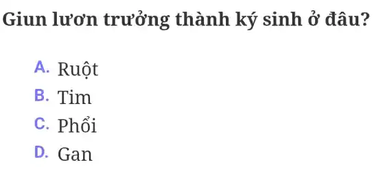 Giun lươn trưởng thành ký sinh ở đâu?
A. Ruột
B. Tim
C. Phổi
D. Gan