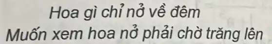 Hoa gì chỉ nở về đêm
Muốn xem hoa nổ phải chờ trǎng lên