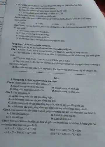 With hour trong hour động chức nǎng của DNA đim bǎo bời:
A. Tinh hen vumg của hàn kết cặng hour try
B. Tinh yen citu hàm kết hiđro trong nguyên tắc bổ sung
gian xuân hẹp của phin tir ADN
D. Sg ding vi chio xolin cùn sợi nhiễm sốc
Cin (VD)
utenine và 3120 liên kết hydrogen. Gene đã có số lượng
mudercide li
A. 1200
B. 2471
C. 3000
D. 3120
Cin 5 (TH). Thi sao độc biến gem có tìm số thấp nhưng lại thường xuyên xuân hiện trong quần
the gino phin?
A. Vì vim gen trong quần thể thì lim
B. Vigen os cầu trúc hàm hền
C. Vitic thin giy địn biển rữ nhiều
D. ViNST hit cặp và trao đãi chéo trong nguyên phản.
Ding thisc 2: Cin trắc nghiệm đúng sai.
Trung miijal, b)c), d) ở mii câu thì sinh chọn đúng hoặc sai.
về quy luận đã truyền Mendel, các phít biểu sau đây là ding hay sai?
a) Quy hujin phim ly đặc lip nối về sự phim ly cùng nhau của các allele trong quã trình giảm
phin
b) Tale hie hình 3 trúi :I lim o F2 có ti lệ kiểu gen li
1:2:1
c) Quy lujit phim ly đặc lip của Menden góp phần giải thích hiện tượng đa dạng của hàng ti
nguồn tròn thế giải.
d) Bin chit qu Unit
__
L Dung thire l:Trúc nghiệm nhiền lựa chọn
Đề 9
Ciu 1: Thinh phin của mùa gồm những cit?
A. Huyet toong vi các tế bào min
B. Huyer noong vi bach cần
C. Hồng cin, huch cần và tiểu của
D. Huyet toong vi bông cầu
Câu 2: Thể đồng hợp là
A. ci the mung toàn các cặp gen
B. ci the mung toàn các cặp gen đồng hợp trời.
C. ci the mang mặt số cặp gen đồng hợp trội, mặt số cặp gen đồng hợp lặn.
D. citheming các gen giống nhau quy định một hay một số tính trạng nào đó.
Ciu 3. Các mucleutide trên cùng 1 chali polymocleotide tiền kết với nhau nhờ loại liên kết
A. Lièn kể Hidrogen.
B. Lièn kết cọng hóa trị
C. Liên kếtion
D. Lièn kết Glicont.
Ciu 4: Một có 2400 mocleotide, có hiệu số giờ mucleotide loại G với loại A bằng 200 Số
nucleotide mili loai của gen đó là:
a) A=T=450;G=X=750
b) A=T=400;G=X=600
c) A=T=500;G=X=700
A=T=650;G=X=850