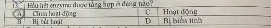 Hầu hết enzyme được tổng hợp ở dạng nào?
A
Chưa hoạt động
C
Hoạt động
B
Bị bất hoạt
D
Bị biến tính