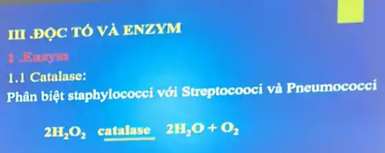 III.ĐỌC TÓ VÀ ENZYM
1. Enzym
1.1 Catalase:
Phân biệt staphylococci với Streptocooci và Pneumococci
2H_(2)O_(2) catalase 2H_(2)O+O_(2)