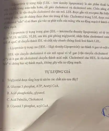 - Lipoprotein tỷ trọng, thấp (LDL-low density lipoprotein). là xán phẩm
cáa VLDL trong mái tuần hoàn, tết giảm cholesterol và cholesterol
yếu của LDL là vận chuyển cholesterol cho các mô. LDL được gắn với receptor the hiệ
màng tế bào, sau đó chúng được đưa vào trong tế bào. Cholesterol trong LDL được coi
cholesterol ","d" vì nó tham gia vào sự phát triển của mảng vừa xơ động, mạch trininhc
động mạch.
- Lipoprotein tỷ trọng trung gian (IDL -intermedia density lipoprotein); có tỷ trụ
gina VLDL và LDL VLDL sau khí giải phóng triglycerid, nhận thêm cholesterol exce
mắt đi apoC se chuyển thành IDL và chất này nhanh chóng thoái hoá thành LDL.
- Lipoprotein tỷ trọng cao (IIDL-High density Lipoprotein): tạo thành 4 gan và nuột 1
IIDL vận chuyển cholesterol ở các mô ngoại ví về gan (vận chuyển cholesterol
về và ở gan thi cholesterol chuyển thành acid mặt.Cholesterol cira HDLE cholest
"tốt" vi chúng bảo vệ thánh mạch, không gây vữa xơ động mạch.
TỰ LƯỢNG GIÁ
1. Triglycerid được tổng hợp tứ nhóm các chất nào sau đây?
A. Glucose 3 phosphat ATP, Acetyl CoA.
B. Acid phosphotidic glycerol.
C. Acid Palmitic Cholesterol.
D. Glycerol 3 phosphat,acyl CoA