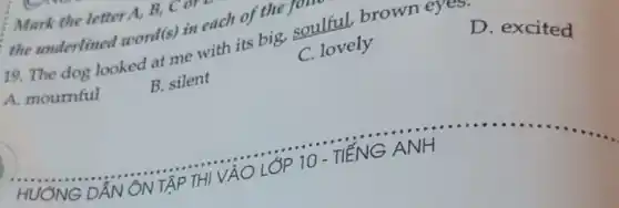 Mark the letter A.B, C
the underlined word (s) in each of the)
19. The dog looked at me with its big, soulful brown eyes.
A. mournful
B. silent
C. lovely
D. excited
HUONG DÂN
10 - TIẾNG
__