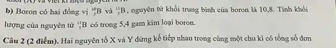 mol (A) và vict kì mẹu nguyên tử
b) Boron có hai đồng vị (}_(5)^10B và ()_{5)^11B nguyên tử khối trung bình của boron là 10,8. Tính khối
lượng của nguyên tử (}_{5)^11B có trong 5,4 gam kim loại boron.
Câu 2 (2 điểm)Hai nguyên tố X và Y đứng kế tiếp nhau trong cùng một chu kì có tổng số đơn