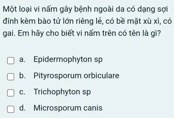 Một loại vi nấm gây bệnh ngoài da có dạng sợi
đính kèm bào tử lớn riêng lẻ , có bề mặt xù xì. có
gai. Em hãy cho biết vi nấm trên có tên là gì?
a Epidermophyton sp
b . Pityrosporum orbiculare
C Trichophyton sp
d Microsporum canis