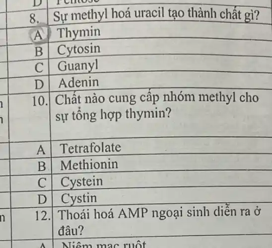 n
8. Sư methyl hoá uracil tạo thành chất gì?
A
Thymin
Cytosin
10.
A
Tetrafolate
square 
Methionin
square 
Cystein
Cystin
square 
Thoái hoá AMP ngoại sinh diễn ra ở