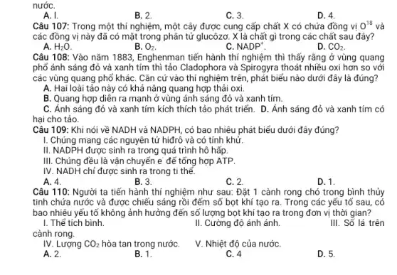 nướC.
A. I.
B. 2.
C. 3.
D. 4.
Câu 107: Trong một thí nghiệm, một cây được cung cấp chất X có chứa đồng vị 0^18 và
các đồng vị này đã có mặt trong phân tử glucôzơ. X là chất gì trong các chất sau đây?
A. H_(2)O.
B. O_(2)
NADP^+
D. CO_(2)
Câu 108: Vào nǎm 1883, Enghenman tiến hành thí nghiệm thì thấy rằng ở vùng quang
phố ánh sáng đỏ và xanh tím thì tảo Cladophora và Spirogyra thoát nhiều oxi hơn so với
các vùng quang phổ kháC. Cǎn cứ vào thí nghiệm trên, phát biểu nào dưới đây là đúng?
A. Hai loài tảo này có khả nǎng quang hợp thải oxi
B. Quang hợp diễn ra mạnh ở vùng ánh sáng đỏ và xanh tím.
C. Ánh sáng đỏ và xanh tím kích thích tảo phát triển.D. Ánh sáng đỏ và xanh tím có
hai cho tảo.
Câu 109: Khi nói về NADH và NADPH có bao nhiêu phát biểu dưới đây đúng?
I. Chúng mang các nguyên tử hiđrô và có tính khử.
II. NADPH được sinh ra trong quá trình hô hấp.
III. Chúng đều là vận chuyển e để tổng hợp ATP.
IV. NADH chỉ được sinh ra trong ti thế.
A. 4.
B. 3.
C. 2.
D. 1.
Câu 110: Người ta tiến hành thí nghiệm như sau: Đặt 1 cành rong chó trong bình thủy
tinh chứa nước và được chiếu sáng rồi đếm số bọt khí tạo ra. Trong các yếu tố sau, có
bao nhiêu yếu tố không ảnh hưởng đến số lượng bọt khí tạo ra trong đơn vị thời gian?
I. Thể tích bình.
cành rong.
II. Cường độ ánh ánh.
III. Số lá trên
IV. Lượng CO_(2) hòa tan trong nướC.
V. Nhiệt độ của nướC.
A. 2.
B. 1.
C. 4
D. 5.