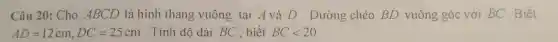 ng với BC . Biết
AD=12cm,DC=25cm	BClt 20