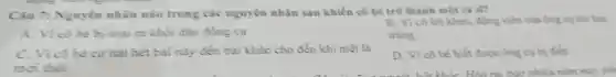 Nguyên nhân nào trong các nguyên nhân sau khiến cô bé trở thành một ca sĩ?
A. Vicô bé bị loai ra khỏi dàn đồng ca
trắng
hết bài này đến bài khác cho đến khi mệt là
D. Vì cô bé biết được: ông cụ bị điểc