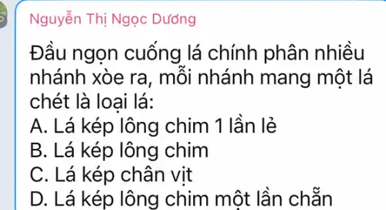 Nguyễn Thị Ngọc Dướng
Đầu ngor ) cuống lá chính phân nhiều
nhánh xòe ra , mỗi nhánh mang một lá
chét là loại lá:
A. Lá kép lông chim 1 lần lẻ
B. Lá kép lông chim
C. Lá kép chân vit
D. Lá kép lông chim một lần chẵn