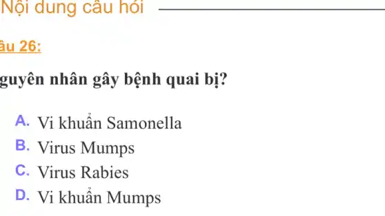 Nội dung câu hỏi
âu 26:
guyên nhân gây bệnh quai bị?
A. Vi khuẩn Samonella
B. Virus Mumps
C. Virus Rabies
D. Vi khuẩn Mumps