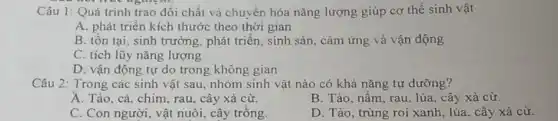 normal age
Câu 1: Quá trinh trao đổi chất và chuyển hóa nǎng lượng giúp cơ thể sinh vật
A. phát triển kích thước theo thời gian
B. tồn tại, sinh trưởng, phát triển, sinh sản, cảm ứng và vận động
C. tích lũy nǎng lượng
D. vận động tự do trong không gian
Câu 2: Trong các sinh vật sau, nhóm sinh vật nào có khả nǎng tự dưỡng?
A. Tào, cá. chim rau, cây xà cừ.
B. Tảo, nấm, rau , lúa, cây xà cừ.
C. Con người, vật nuôi, cây trồng.
D. Tảo, trùng roi xanh, lúa, cây xà cừ.