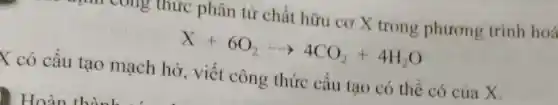 ong thức phân tử chất hữu cơ X trong phương trình hoá
X+6O_(2)arrow 4CO_(2)+4H_(2)O
K có cấu tạo mạch hở, viết công thức cấu tạo có thể có của X.