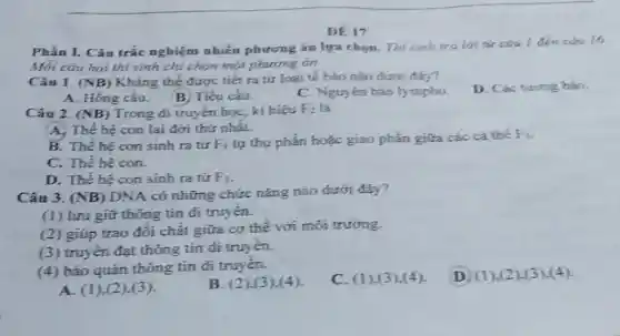 Phần I. Câu trắc nghiệm nhiều phương án lựa chọn Thi sinh trá lời tứ câu I đến cdu 16
Mỗi câu hỏi thí sinh chỉ chọn một phuong án
DE 17
Câu 1. (NB) Kháng thể được tiết ra từ loại tế bào nào dưới đây?
D. Các tương bào.
A. Hồng cầu B. Tiểu cầu.
C. Nguyên bào ly mpho.
Câu 2. (NB) Trong di truyền học kí hiệu F_(2) là
A. Thế hệ con lai đời thứ nhất.
B. Thế hệ con sinh ra từ F_(1)
tự thụ phấn hoặc giao phấn giữa các cả thể F_(1)
C. Thế hệ con.
D. Thế hệ con sinh ra tử F_(1)
Câu 3. (NB)
DNA có những chức nǎng nào dưới đây?
(1) lưu giữ thông tin di truyền.
(2) giúp trao đổi chất giữa cơ thể với môi trường.
(3) truyền đạt thông tin di truyên.
(4) bảo quản thông tin di truyền.
C. (1).(3).(4). D (1).(2),(3),(4)
A. (1),(2 ).(3).
B. (2).(3),(4)