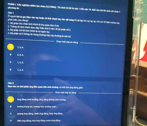 PHẦN I. Trắc nghiệm nhiều lựa chọn (4,5 điểm). Thí sinh trả lời từ câu 1 đến câu 18. Mỗi câu hỏi thí sinh chỉ chon 1
phương án.
Câu 1
Ở người khi bị gai đâm vào tay hoặc vô tình chạm tay vào vật nóng thì sẽ lập tức rụt tay lại. Khi nói về hiện tượng này,
phát biểu nào đúng?
1. Bộ phận thu nhận kích thích là thụ quan đau ở da.
2. Thông tin kích thích theo dây thần kinh li tâm về bộ phận xử lí.
3. Bộ phận trả lời kích thích là cơ ngón tay.
4. Bộ phận xử l 1 thông tin trong trường hợp này thường là não bộ.
__ Chọn một đáp án đúng
__
A
1,3,4
B
2,3,4
1,2,3
1,2,4
Dưa vào cơ chế phản ứng liên quan đến sinh trưởng, có thể chia ứng động gồm
Chọn một đáp án đúng
A
ứng động sinh trưởng.ứng động không sinh trưởng.
B
hướng trọng lực hướng hóa, hướng nước.
quang ứng động, nhiệt ứng động, thủy ứng động.
C
D
điện ứng động, hóa ứng động, nước ứng động.