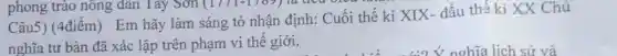 phong trào nông dân Tây Sơn (17/1-178.
Câu5) (4điểm)Em hãy làm sáng tỏ nhận định: Cuối thế kỉ XIX- đầu thế kỉ XX Chủ
nghĩa tư bản đã xác lập trên phạm vi thế giới.