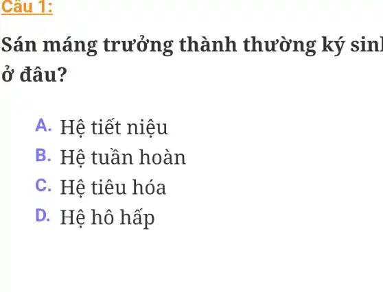 Sán máng trưởng thành thường ký sin]
ở đâu?
A. Hệ tiết niệu
B. Hệ tuần hoàn
C. Hệ tiêu hóa
D. Hệ hô hấp