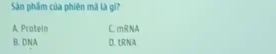 Sản phẩm của phiên mà là gì?
A. Protein
C. mRNA
B. DNA
D. tRNA