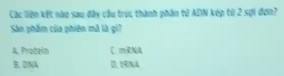 thành nhân tử ADN kep tul 2 sol don?
Sin phim cila
A. Protein
c mRNA
B. CNA
D. tRN