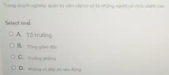 Trong doanh nghiệp quản trị viên cấp cơ sở là những người có chức danh sau
Select one:
A. Tổ trường
B. Tổng giám đốc
C. Truồng phòng
D. Không có đáp án nào đúng