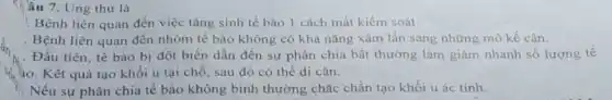 âu 7. Ung thư là
Bệnh liên quan đến việc tǎng sinh tế bào 1 cách mất kiểm soát.
Bệnh liên quan đến nhóm tế bào không có khả nǎng xâm lần sang những mô kế cân.
M. Đầu tiên, tế bào bị đột biến dẫn đến sự phân chia bất thường làm giảm nhanh số lượng tế
io. Kết quả tạo khối u tại chỗ sau đó có thể di cǎn.
Nếu sự phân chia tế bào không bình thường chắc chǎn tạo khối u ác tính.