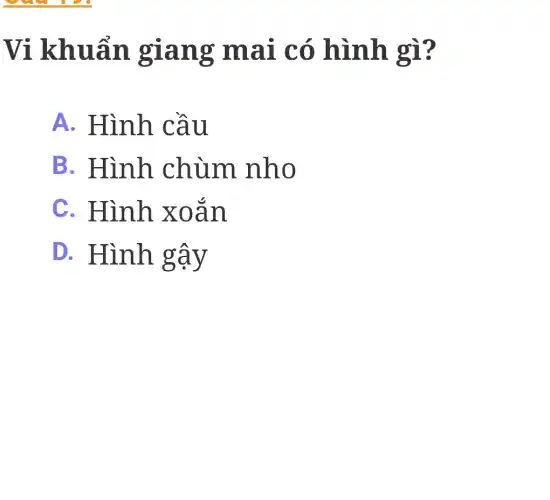 Vi khuẩn giang mai có hình gì?
A. Hình cầu
B. Hình .chùm nho
C. Hình xoắn
D. Hình gậy