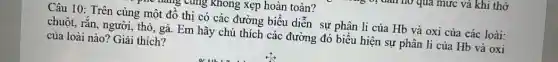 vung không xẹp hoàn toàn?
Câu 10: Trên cùng một đồ thị có các đường biểu diễn sự phân li của Hb và oxi của các loài:
chuột, rắn, người, thỏ,, gà. Em hãy chú thích các đường đó biểu hiện sự phân li của Hb và oxi
của loài nào? Giải thích?