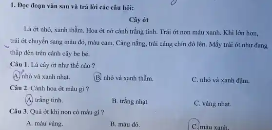 1. Đọc đoạn vǎn sau và trả lời các câu hỏi:
Cây ớt
Lá ớt nhỏ, xanh thẫm. Hoa ớt nở cánh trắng tinh. Trái ớt non màu xanh Khi lớn hơn,
trái ớt chuyển sang màu đỏ, màu cam . Càng nắng, trái càng chín đỏ lên. Mấy trái ớt như đang
thắp đèn trên cành cây be bé.
Câu 1. Lá cây ớt như thế nào ?
A. nhỏ và xanh nhạt.
B. nhỏ và xanh thẫm.
C. nhỏ và xanh đậm.
Câu 2. Cánh hoa ớt màu gì?
(A) trắng tinh.
B. trắng nhạt
C. vàng nhạt.
Câu 3. Quả ớt khi non có màu gì?
A. màu vàng.
B. màu đỏ.
C. màu xanh.