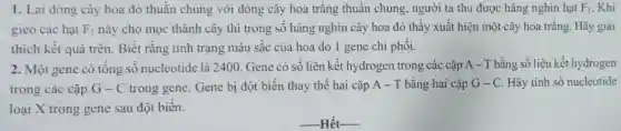 1. Lai dòng cây hoa đó thuần chủng với dòng cây hoa trắng thuần chùng, người ta thu được hàng nghìn hạt F_(1) . Khi
gieo các hạt F_(1) này cho mọc thành cây thì trong số hàng nghìn cây hoa đỏ thấy xuất hiện một cây hoa trắng Hãy giải
thích kết quả trên Biết rằng tính trạng màu sắc của hoa do 1 gene chi phối.
2. Một gene có tổng số nucleotide là 2400. Gene có số liên kết hydrogen trong các cặp A - T bằng số liên kết hydrogen
trong các cặp G-C trong gene. Gene bị đột biến thay thế hai cặp A - T bằng hai cặp G-C. Hãy tính số nucleotide
loại X trong gene sau đột biến.