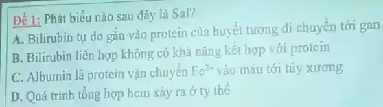 Đề 1: Phát biểu nào sau đây là Sai?
A. Bilirubin tự do gắn vào protein của huyết tương di chuyển tới gan
B. Bilirubin liên hợp không có khả nǎng kết hợp với protein
C. Albumin là protein vận chuyển Fe^2+ vào máu tới tủy xương
D. Quá trình tổng hợp hem xảy ra ở ty thể