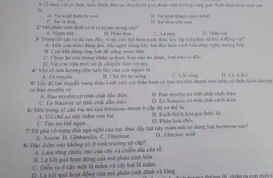 1/ Ở thực vật có hoa, mốc đánh dấu sự chuyển tử giai đoạn sinh trường sang giai đoạn phát triển sinh sản
là
A. Sự xuất hiện lá non.
B. Sự hinh thành quả và hạt
C. Sưra hoa.
D. Sự chin của quả
2/ Mô phân sinh đinh có ở vị trí nào trong cây?
A. Ngọn cây.
B. Phần hoa.
C. Lá non
D. Thân cây
3/ Trong số các ví dụ sau đây vi du nào thể hiện hình thức học tập kiểu học xã hội ở động vật?
A. Một con mèo đang đói, khi nghe tiếng bày bát đũa lách cách liền chạy ngay xuống bếp.
B. Con khi dùng ống hút để uống nước dừa.
C. Chim ǎn côn trùng nhận ra được loại nào ǎn được loại nào có độC.
D. Vit con vừa mới nở di chuyên theo vit me.
4/ Yếu tố ảnh hưởng đến tuổi thọ của con người là:
B. Chế độ ǎn uống.
C. Lối sông.
D. Cả A.B C
A. Di truyền
5/ Tốc độ lan truyền xung thần kinh trên sợi thân kinh có bao myelin nhanh hơn trên sợ thần kinh không
có bao myelin vì:
A. Bao myelin có tính chất dần điện.
B. Bao myelin có tính chất cách điện.
C. Eo Raniver có tính chất dẫn điện.
D. Eo Raniver có tính chất cách điện.
6/ Một trong số các vai trò của hormone auxin ở cấp độ cơ thể là:
A. Ức chế sự nảy mầm của hạt.
B. Kích thích hóa già thân, lá.
C. Tao ưu thế ngọn.
D. Phân hóa chồi
7/ Để phá vỡ trạng thái ngủ nghi của hat. thúc đẩy hạt nảy mầm nên sử dụng loại hormone nào?
A. Auxin. B . Gibberelin. C.Ethylene.
D. Abscisic acid
8/ Đặc điểm nào không có ở sinh trưởng sơ cấp?
A. Làm tǎng chiều cao của cây và chiều dài của rễ.
B. Là kết quả hoạt động của mô phân sinh bên.
C. Diễn ra ở cây một lá mầm và cây hai lá mầm.
D. Là kết quả hoạt động của mô phân sinh đỉnh và lóng.