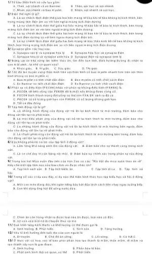 1/Tế bào thần kinh có cấu tạo gồm:
A. Thân, sợinhánh và eo Ranvier.
B. Thân, sợi trục và sợi nhánh.
C. Nhân,sqinhánh và bao m yelin
D. Nhân, sợi nhánh và sợi trụC.
2/Điện thế nghỉ là gì?
A. Là sự chênh lệch điện thế giữa hai bên màng tế bào khi tế bào không bị kích thích, bên
trong màng tích điện âm so với bên ngoài màng tích điện dương.
B. Là sự chênh lệch điện thế giữ a hai bên màng tế bào khi tế bào bị kích thích, bên trong
màng tích điện âm so với bên ngo ài màng tích điện dương.
C. Là sự chênh lệch điện thế giữa hai bên màng tế bào khi tế bào bị kích thích, bên trong
màng tích điện dương so với bên ngoài màng tích điện âm.
D. Là sự chênh lệch điện thế giữa hai bên màng tế bào thần kinh khi tế bào không bị kích
thích, bên trong m àng tích điện âm so với bên ngoài màng tích điện dương.
3/Synapse gồm các loại sau:
A. Synapse vật lý và synapse hóa lý. B. Syna ose hóa học và synapse điện.
C. Synapse hóa lý và synapse sinh hóa.D. Synapse điện và synapse sinh lý.
4/ Động vật có khả nǎng tìm kiếm thức ǎn, tìm đến bạn tình, định hướng đường đi,nhận ra
con mới sinh .. là nhờ cơ quan nào?
A. Khứu giáC. B VigiáC. C. Xúc giác
D. Thị giáC.
5/ Tốc độ la n truyền xung thần kinh trên sợi thần kinh có bao myelin nhanh hơn trên sợi thần
kinh không có bao m yelin vi:
A. Bao myelin có tính chất dẫn điện. B. Bao myelin có tính chất cách điện.
C. Eo Raniver có tính chất dần điện. D. Eo Raniver có tính chất cách điện.
6/ Phản xạ có điều kiện (PXCEK) khác với phản xạ không điều kiện (PXKEK) là:
A. PXCĐK rất bền vững còn PXKĐK dễ bị mất nếu không được củng cố.
B. PXCĐK hình thành trong đời sống cá thể còn PXK ĐK sinh ra đã có.
C. PXCĐK có số lượng giới hạn còn PXKĐK có số lượng không giới hạn.
D. Tất cả đều đúng.
7/ Tập tính động vật là gì?
A. Là những hành động của động vật trả lời lại kích thích từ môi trường.đảm bảo cho
động vật tồn tại và phát triển.
B. Là một kiểu phản ứng của động vật trả lời lại kích thích từ môi tru ờng,đảm bảo cho
động vật tồn tại và phát triến.
C. Là những hành động của động vật trả lời lại kích thích từ môi trường bên ngoài,đảm
bảo cho động vật tồn tại và phát triển.
D. Là chuổi phản ứng của động vật trả lời lại kích thích từ môi trường bên trong, đảm bảo
cho động vật tồn tại và phát triển
8/Đâu không phải là vai trò của tập tính ở động vật?
A. Làm tǎng khả nǎng sinh tồn của động vật. B.Đảm bảo cho sự thành công trong sinh
sản.
C. Là cơ chế duy trì cân bǎng nội môi.D.Đảm bảo sự chính xác trong phản xạ của động
vật.
9/ Trong bài hát Mùa xuân đầu tiên của Vǎn Cao có câu: "Rồi dặt diu mùa xuân theo én ve''
Hãy cho biết tập tính nào của loài chim én được nhắc tới?
A. Tập tính sinh sản. B.Tập tính kiếm ǎn.
C.Tập tính dicư. D. Tập tính xã
hội.
10/ Trong số các ví dụ sau đây ví dụ nào thế hiện hình thức học tập kiểu học xã hội ở động
vật?
A. Mộtcon mèo đang đói, khi nghe tiếng bày bát đũa lách cách liền chạy ngay xuống bếp.
B. Con khỉ dùng ống hút để uống nước dừa.
C. Chim ǎn côn trùng nhận ra được loại nào ǎn được, loại nào có độC.
D. Vịt con vừa m ới nở di chuyển theo vịt mẹ.
11/Quá trình tǎng kích thước và khối lượng cơ thể được gọi là:
A. Sinh trưởng. B. Phát triển
C. Sinh sản.
D. Tǎng trưởng.
12/ Yếu tố ảnh hưởng đến tuổi thọ của con người là:
A. D truyền.	B.Chế độ ǎn uống.
C. Lối sống.
D.Cả A,B,C.
13/ Ở thực vật có hoa, các tế bào phôi phân hóa tạo thành là mầm, thân mầm, rễ mầm và
tạo thành cây non là giai đoạn:
A. Sinh trưởng.
B. Phân hóa tế bào.
C. Phát sinh hình thái cơ quan,cơ thể. D. Phát triến.