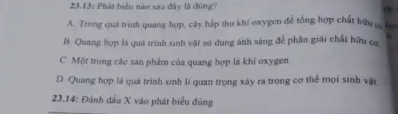 23.13: Phát biểu nào sau đây là đúng?
A. Trong quá trình quang hợp, cây hấp thụ khí oxygen để tổng hợp chất hữu co
B. Quang hợp là quá trình sinh vật sử dụng ánh sáng để phân giải chất hữu cơ.
C. Một trong các sản phẩm của quang hợp là khí oxygen.
D. Quang hợp là quá trình sinh lí quan trọng xảy ra trong cơ thể mọi sinh vật.
23.14: Đánh dấu X vào phát biểu đúng
18: