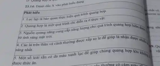 23.14: Đánh dấu X vào phát biểu đúng
Phát biểu
1. Lục lạp là bào quan thực hiện quá trình quang hợp.
2. Quang hợp là một quá trình chỉ diễn ra ở thực vật.
3. Nguồn quang nǎng cung cấp nǎng lượng cho quá trình quang hợp luôn được
từ ánh sáng mặt trời.
4. Các lá trên thân và cành thường được xếp so le để giúp lá nhận được nhiều
sáng nhất.
5. Một số loài rắn có da màu xanh lục để giúp chúng quang hợp khi không ,
được thức ǎn.
ying nar