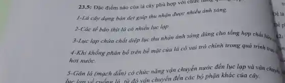 23.5: Đặc điểm nào của lá cây phù hợp với chức nǎng quan
1-Lá cây dạng bản dẹt giúp thu nhận được nhiều ánh sáng.
2-Các tế bào thịt lá có nhiều lục lạp.
3-Luc lap chứa chất diệp lục thu nhận ánh sáng dùng cho tổng hợp chất hữu. 12:
4-Khi khổng phân bố trên bề mặt của lá có vai trò chính trong quá trình trao un
hơi nước.
5-Gân lá (mạch dẫn) có chức nǎng vân chuyển nước đến lục lạp và vận chuyển a
, chuyển đến các bộ phận khác của cây.
tr
bé lá
Để p