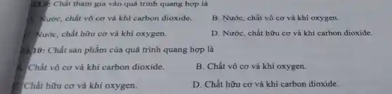 23.9: Chất tham gia vào quá trình quang hợp là
A. Nước, chất vô cơ và khí carbon dioxide.
B. Nước, chất vô cơ và khí oxygen.
C. Nước, chất hữu cơ và khí oxygen.
D. Nước, chất hữu cơ và khí carbon dioxide.
23.10: Chất sản phẩm của quá trình quang hợp là
A. Chất vô cơ và khí carbon dioxide.
B. Chất vô cơ và khí oxygen.
E Chất hữu cơ và khí oxygen.
D. Chất hữu cơ và khí carbon dioxide.