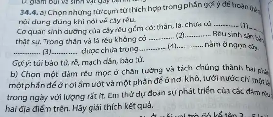 34.4 a) Chọn những từ/cụm từ thích hợp trong phần gợi ý để hoàn thàn
nội dung đúng khi nói về cây rêu.
Cơ quan sinh dưỡng của cây rêu gồm có: thân, lá chưa có
__ (1)
thật sự. Trong thân và lá rêu không có
__ __ Rêu sinh sản
__
__ __ được chứa trong
__ __ nằm ở ngọn cây.
bằn
Gợi ý: túi bào tử,rễ, mạch dẫn, bào tử.
b) Chọn một đám rêu mọc ở chân tường và tách chúng thành hai phá.
một phần để ở nơi ẩm ướt và một phần để ở nơi khô, tưới nước chỉ một là
trong ngày với lượng rất ít. Em thử dự đoán sự phát triển của các đám rêu
hai địa điểm trên. Hãy giải thích kết quả.