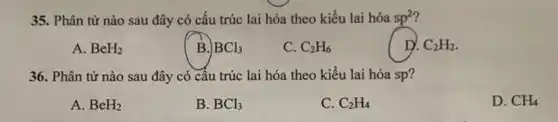 35. Phân tử nào sau đây có cấu trúc lai hóa theo kiểu lai hóa sp^2
A. BeH_(2)
B. BCl_(3)
C. C_(2)H_(6)
D. C_(2)H_(2)
36. Phân tử nào sau đây có câu trúc lai hóa theo kiểu lai hóa sp?
A. BeH_(2)
B. BCl_(3)
C. C_(2)H_(4)
D. CH_(4)