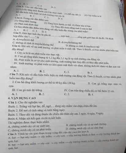 A. 6 B. 5
D. 3
C. 4
Câu 3: Cho các dấu hiệu sau:
(1) Lá cây tǎng kích thước (2) Cây mọc cành (3) Rễ cây dài ra (4) Cây mầm ra lá
Số dấu hiệu biểu hiện sự sinh trưởng của cây là
A. 1.
B. 2
C. 3.
D. 4.
Câu 4: Trong các đặc điểm sau:
(1) Tǎng khối lượng
(2) Tǎng kích thước cơ thể (3) Phân hóa tế bào
(4) Phát sinh hình thái
(5) Thay đổi chức nǎng sinh lí của cơ thể
Có bao nhiêu đặc điểm trên đúng với dấu hiệu đặc trưng của phát triển?
A. 1 B.2
C. 3 D. 4
Câu 5: Giới hạn tuổi thọ là yếu tố __ một loài __ sống quá giới hạn tối đa đó. Từ thích
hợp điền vào " __ là
A. di truyền/có thể
B. di truyền/không thể
C. không có tính di truyền/không thể
D. không có tính di truyền/có thể
Câu 6: Khi nói về sự sinh trường và phát triển ở sinh vật. Theo lí thuyết, có bao nhiêu phát biểu sau
đây đúng?
I. Cây ra lá là sự phát triển của thực vật.
II. Con gà tǎng khối lượng từ 1 ,3 kg đến 3,1 kg là sự sinh trường của động vật.
III. Phát triển là cơ sở cho sinh trưởng, sinh trưởng làm thay đổi và thúc đầy phát triển.
IV. Sinh trưởng và phát triển có liên quan mật thiết với nhau, không tách rời nhau và đan xen với
nhau.
C. 3.
D. 4.
A. 1.
B. 2.
Câu 7: Khi nói về dấu hiệu biểu hiện sự sinh trường của động vật. Theo lí thuyết, có bao nhiêu phát
biểu sau đây đúng?
II. Con gà trống mọc mào và
I. Con bò tǎng khối lượng cơ thể từ 60 kg đến 120 kg.
IV. Con trǎn tǎng chiều dài cơ thể thêm 22 cm.
cựa.
III. Con gà mái đẻ trứng.
B. 2.
C. 3.
D. 4.
A. 1.
Câu 1: Cho thí nghiệm sau
Bước 1. Trồng vài hạt lạc, đỗ, ngô
__
đang nảy mầm vào chậu chứa đất ẩm.
Bước 2. Để nơi có ánh sáng và tưới hằng ngày.
Bước 3. Theo dõi và dùng thước đo chiều dài thân cây sau 3 ngày, 6 ngày, 9 ngày.
Bước 4. Nhận xét kết quả và rút ra kết luận.
B. chứng minh cây có sự sinh trường.
Thí nghiệm được thực hiện nhằm
A. chứng minh cây có sự sinh sản.
D. chứng minh cây có sự cảm ứng.
4. VẬN DỤNG CAO
C. chứng minh cây có sự phát triển.
Câu 2: Trình tự các giai đoạn trong vòng đời của cây cam lần lượt là
A. hạt ­­­­→ hạt này mầm ­­­­→ cây mầm ­­­­→ cây con , cây trưởng thành ra hoa ­­­­→ cây trường thành tạo
quả, hạt.
B. hạt ­­­­→ hạt nảy mầm ­­­­→ cây con ­­­­→ cây mầm ­­­­→ cây trưởng thành ra hoa ­­­­→ cây trường thành tạo
quả, hạt.