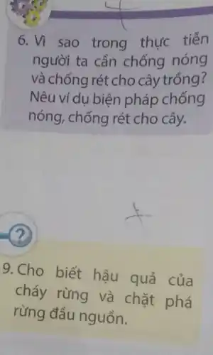 6. Vì sao trong thực tiễn
người ta cần chống nóng
và chống rét cho cây trồng?
Nêu ví dụ biện pháp chống
nóng, chống rét cho cây.
?
9.Cho biết hậu quả của
cháy rừng và chặt phá
rừng đầu nguồn.