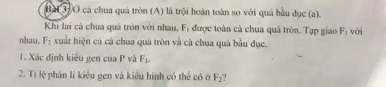 B. 3.) Ở cà chua quả tròn (A) là trội hoàn toàn so với quả bầu dục (a)
Khi lai cà chua quả tròn với nhau, F_(1) được toàn cà chua quả tròn. Tạp giao F_(1) với
nhau, F_(2) xuất hiện cả cà chua quả tròn và cà chua quả bầu dụC.
I. Xác định kiểu gen của P và F_(1)
2. Tỉ lệ phân li kiểu gen và kiểu hình có thể có ở F_(2)