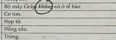 Bộ máy Golg không có ở tế bào:
Cơ tim.
Hợp tử.
Hông câu.
Trứng.