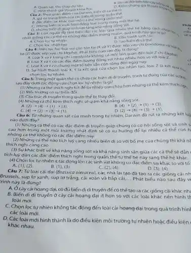 B. Tao các đót biến trên
A. Quan sót, thu tháp dứ liệu.
C. Hình thành giá thuyết khoa họC.
D. Kiếm chúng giá thuyết khoa hai
Câu 2: Theo quan điểm của Darwin, biến di cá thế là
A. giá trị trung bình của các biến di trong quán thể.
B. đặc điếm sa khác của mỏi có thể trong quán thế.
C. những biển di xuất hiện đóng loạt trong cùng một thế hé.
D. nhưng biến d giúp sinh vật táng khả nǎng sống sót.
Câu 3: Con người đã làm biến đồi các loài qua nhiéu thế hệ bằng cách
nhân giống các có thể có những đác điểm mong muốn, quá trình này gọi là chọn
B. Đấu tranh sinh tón.
A. Chọn lọc tự nhiên.
D. Tao biến di cá thé.
C. Chọn lọc nhân tạo.
Câu 4: Hiện tại,hai loài voi còn tón tai (X và Y) được xếp vào chi Loxodonta và loà:the
ba (Z) được xếp vào chi Elephas. Phát biểu nào sau đáy là đúng?
A. Loài X và Y trong chi Loxodont a không có mới liên quan đến loài Z chi Elephos.
B. Loài X và Y có các đǎc điểm tương đóng với nhau nhiều hơn so với loài Z.
C. Loài X vả Y có chung một tổ tiên vǎn còn sống đến ngày nay.
D. Sự hình thành loài X. Y là kết quả của chọn lọc nhân tạo, loài Z là kết quả của
chọn lọc tự nhiên.
Câu 5: Trong một quần thể có chứa các biến dị di truyến, trinh tự đúng của các sự kiện
sau đây dưới tác động của chọn lọc tự nhiên là gì?
(1) Những cá thể thich nghi tốt để lại nhiêu con cháu hơn những cá thể kém thich nghi
(2) Môi trường có sư biến đổi.
(3) Cầu trúc di truyền trong quần thể bị thay đổi.
(4) Những cá thể kém thích nghi sẽ giảm khả nǎng sống sót.
A (2)arrow (4)arrow (1)arrow (3)
(4)arrow (2)arrow (1)arrow (3)
c (4)arrow (2)arrow (3)arrow (1)
D (2)arrow (4)arrow (3)arrow (1)
Câu 6: Từ những quan sát của minh trong tự nhiên Darwin đã rút ra những kết luậ
nào dưới đây?
(1) Những cá thể có các đặc đièm di truyền giúp chúng có cơ hội sống sót và sinh s
cao hơn trong một môi trường nhất định sẽ có xu hướng để lại nhiều cá thể con h
những cá thẻ không có các đặc điểm này.
(2) Những cá thẻ nào tích luỹ càng nhiéu biến di so với bó mẹ của chúng thi khả nǎ
thích nghi càng cao.
(3) Sự khác biệt về khả nǎng sống sót và khả nǎng sinh sản giữa các cá thể sẽ dắn
tích luỹ dân các đǎc điểm thích nghi trong quần thể từ thế hệ này sang thế hệ kháC.
(4) Chọn loc tư nhiên ít tác động lên các sinh vật không có đặc điểm sai khác so với tổ
A. (1),(2)
B. (1), (3)
C. (2), (4)
D. (3), (4).
Câu 7: Từ loài cải dại (Brassica oleracea), các nhà lai tạo đã tao ra các giống cải nh
Brussels, súp lo xanh, súp lợ trắng,cải xoǎn và bắp cải __ Phát biểu nào sau đây v
trình này là đúng?
cây cải hoang dại có đủ biến di di truyền để có thể tạo ra các giống cải khác nhà
B. Biển dị di truyền Ở cây cải hoang dai it hơn so với các loài khác nên hình tr
loài mới.
C. Chọn lọc tự nhiên không tác động đến loài cải hoang dại trong quá trinh hin
các loài mới.
D. Các loài mới hình thành là do điều kiện môi trường tự nhiên hoặc điều kiện
khác nhau.
Phá
cả
c