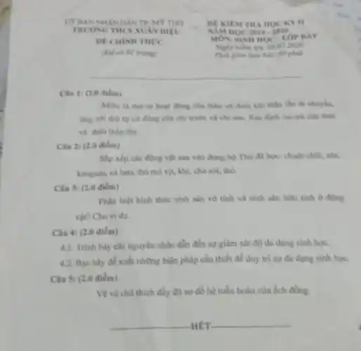 UP BAN NHANDAN TP, MP THO
TRUONG THCS XUAN DIEU
DE CHINH THỨC
(D) có 01 trang)
Cin 1: (2.0 điểm)
Miêu tả thứ tự hoạt động của thân và đuôi khi thần lần đi chuyên,
ứng với thứ tự cứ động của chi trước và chi sau Xác định vai trò của thân
và đuôi thần lần.
Câu 2: (2.0 điểm)
Sắp xếp các động vật sau vào đúng bộ Thủ đã học:chuột chủi, sóc,
kanguru, cá heo, thú mỏ vịt, khi, chó sói, thỏ.
Câu 3: (2.0 điểm)
Phân biệt hình thức sinh sản vô tinh và sinh sản hữu tinh ở động
vật? Cho vi dụ.
Câu 4: (2.0 điểm)
4.1. Trinh bày các nguyên nhân dẫn đến sự giảm sút độ đa dạng sinh học.
4.2. Bạn hily de xuất những biện pháp cần thiết để duy trì sự đa dạng sinh hoc.
Câu 5: (2.0 điểm)
Vẽ và chủ thich đầy đủ sơ đồ hệ tuần hoàn của ech đồng.
DE KIEM TRA HOC kỉ li
NIM HOC 2019. 2029
MONISINH HOC-LOP BAY
Nghy kiem tra: 09.07.2020
phole