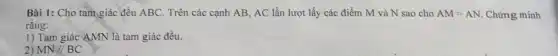 Bài 1: Cho tam giác đều ABC. Trên các cạnh AB, AC lần lượt lấy các điểm M và N sao cho AM=AN . Chứng minh
rằng:
1) Tam giác AMN là tam giác đều.
MN//BC