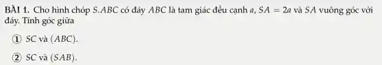 BÀI 1.Cho hình chó p S.ABC ; có đáy ABC là tam giác đều cạnh a, SA=2a và SA vu ông góc : với
đáy. Ti ính góc giữa
SC và (ABC)
SC và (SAB)